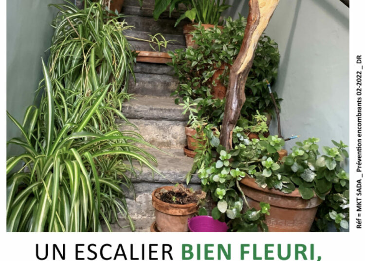 Mieux vaut prévenir que guérir