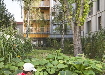 Végétalisation des copropriétés : convivialité, confort et sécurisation