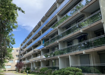 Quand la nature s’invite sur le balcon