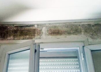 Humidité à l’intérieur des logements : un impact sur l’ensemble du bâti